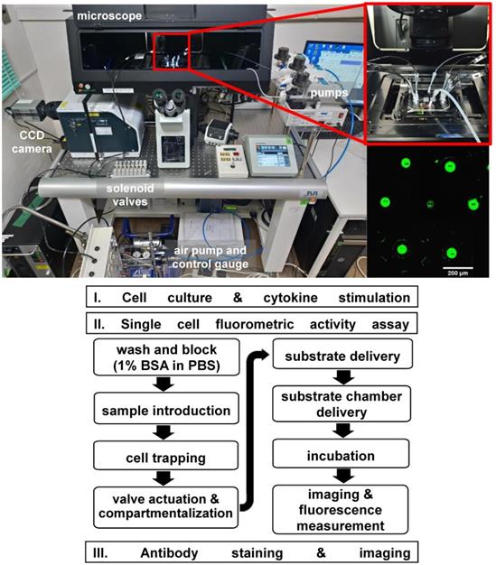 Theranostics Image