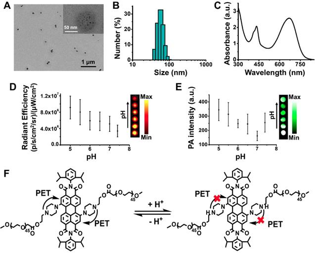 Theranostics Image