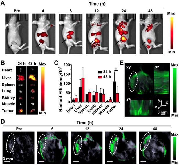 Theranostics Image