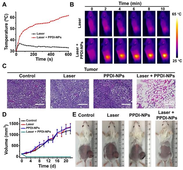 Theranostics Image