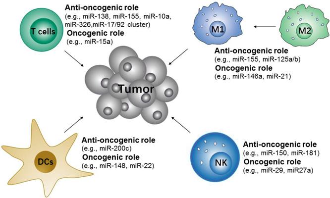 Theranostics Image