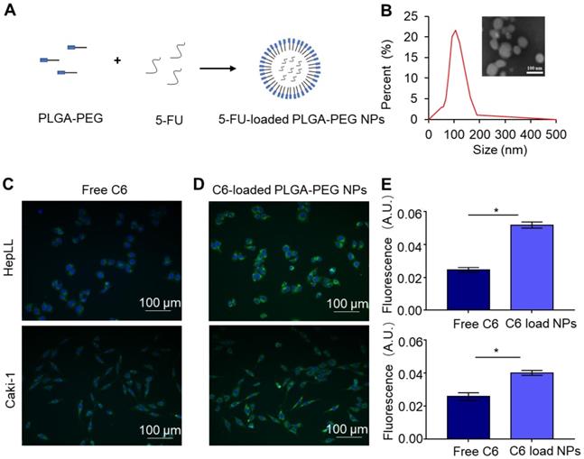 Theranostics Image