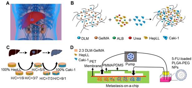 Theranostics Image