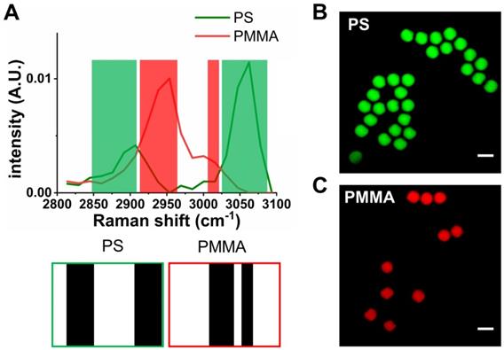 Theranostics Image