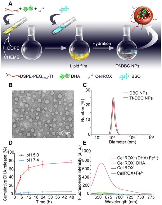 Theranostics Image