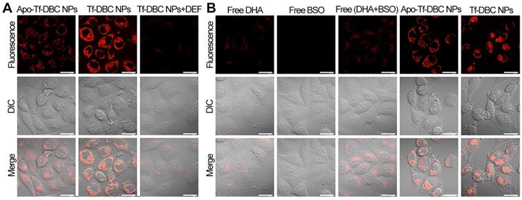 Theranostics Image