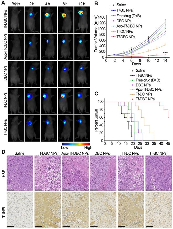 Theranostics Image