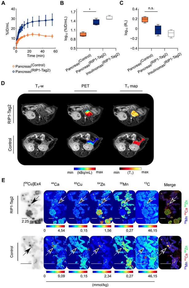 Theranostics Image