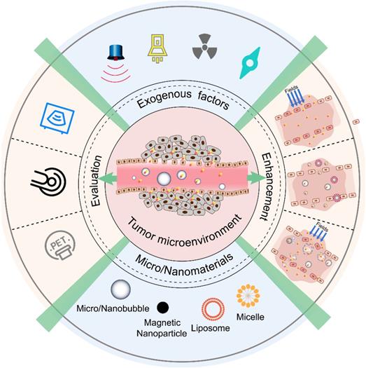 Theranostics Image