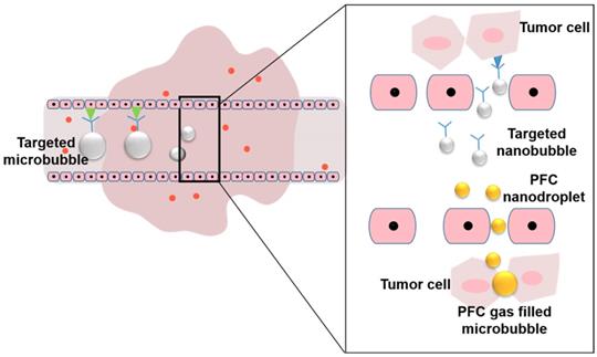 Theranostics Image