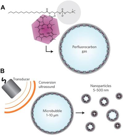 Theranostics Image