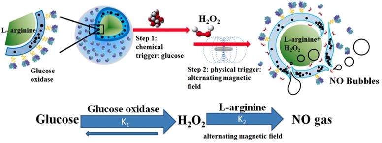 Theranostics Image