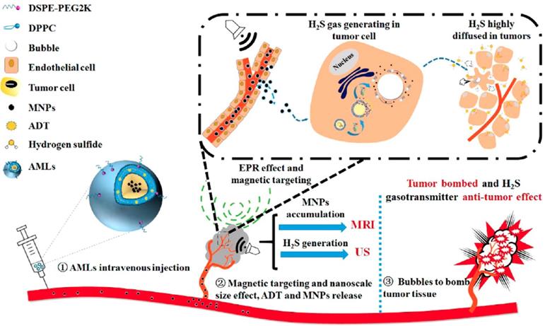 Theranostics Image