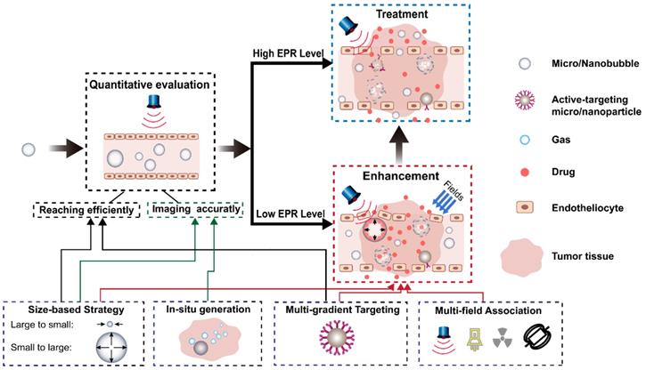 Theranostics Image