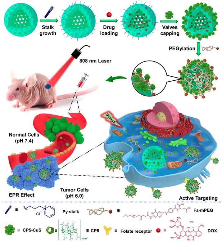 Theranostics Image