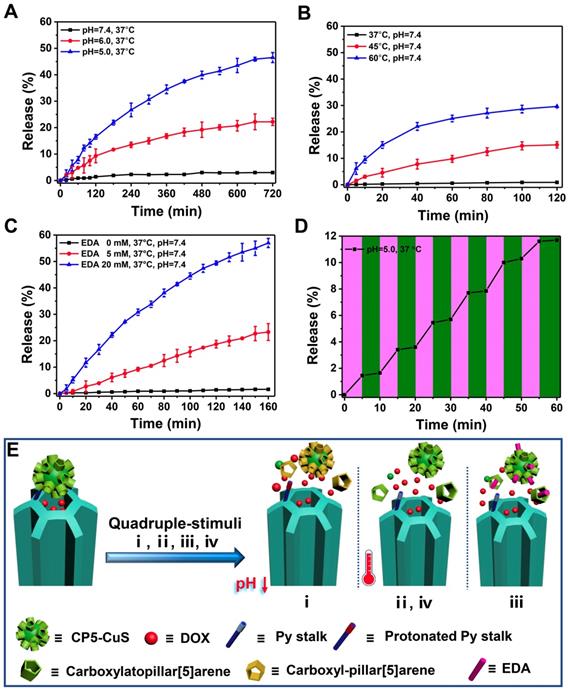 Theranostics Image