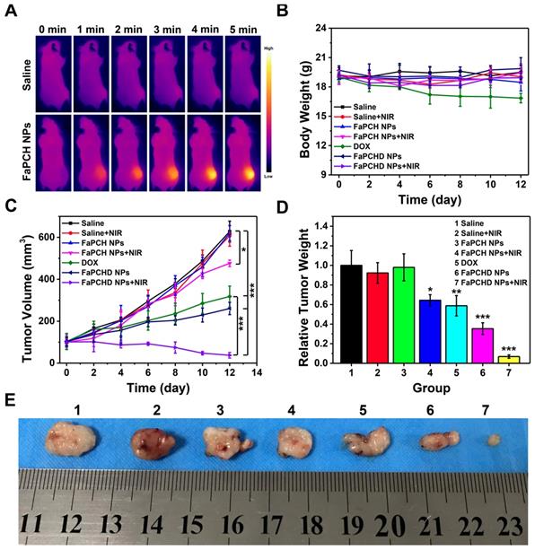 Theranostics Image