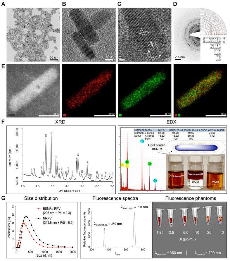 Theranostics Image