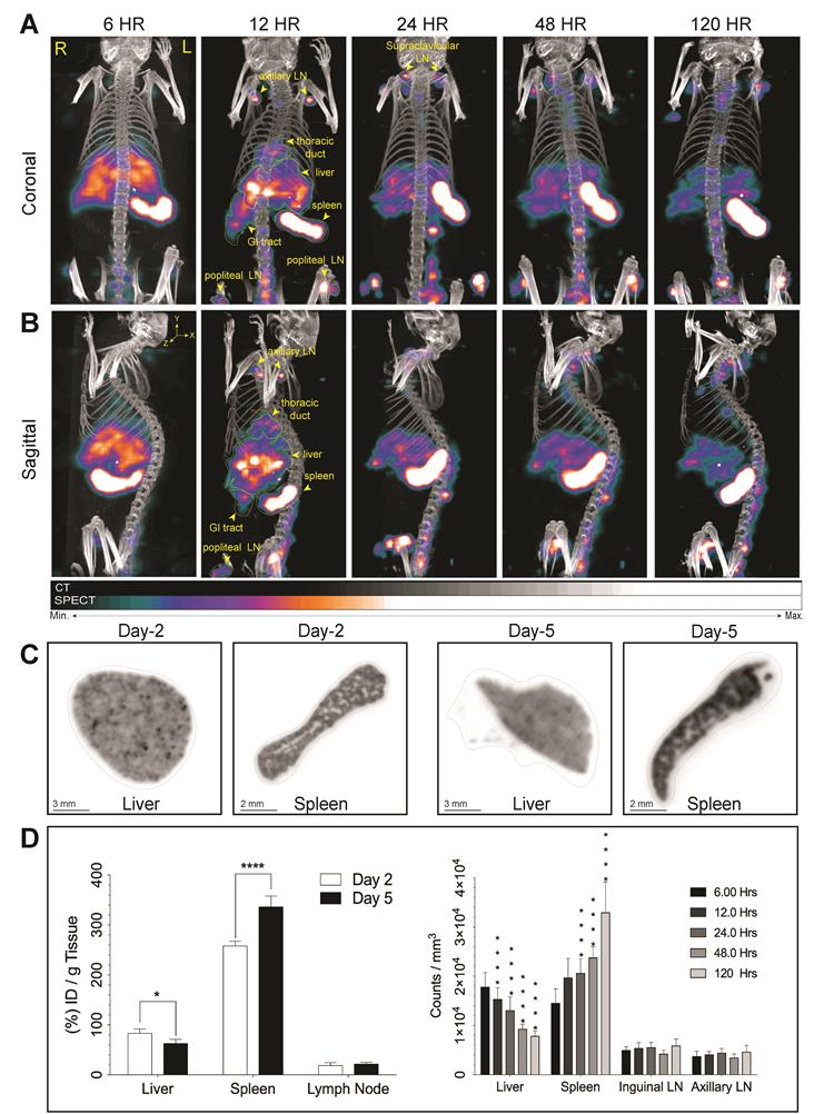 Theranostics Image