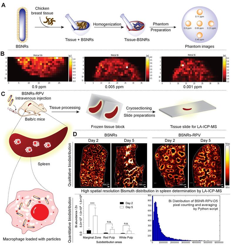 Theranostics Image