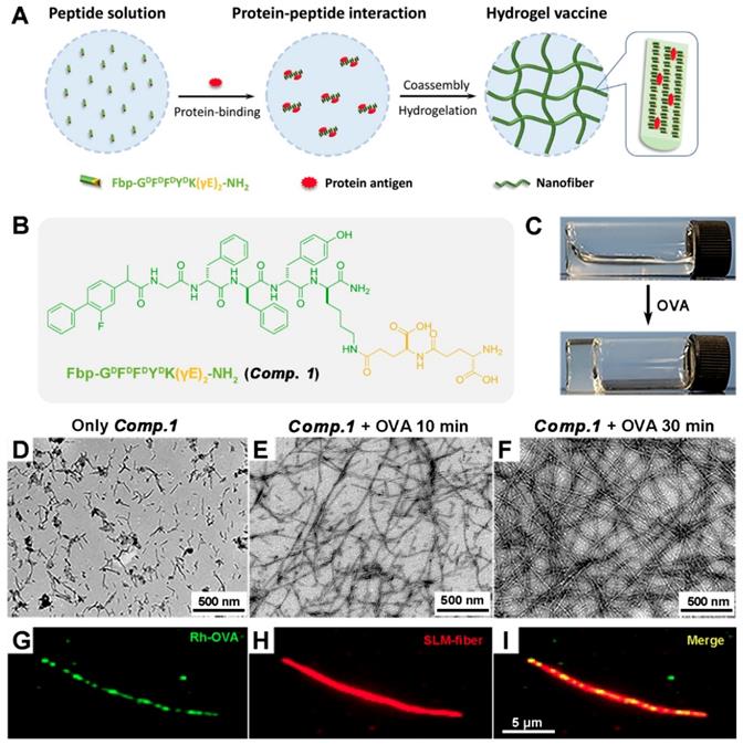 Theranostics Image