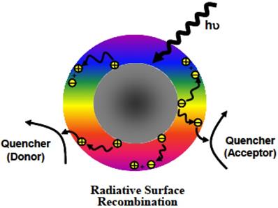 Theranostics Image