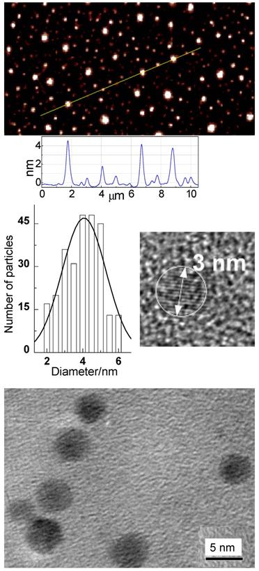 Theranostics Image