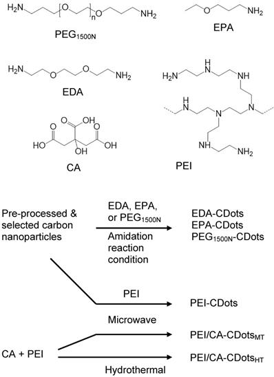 Theranostics Image