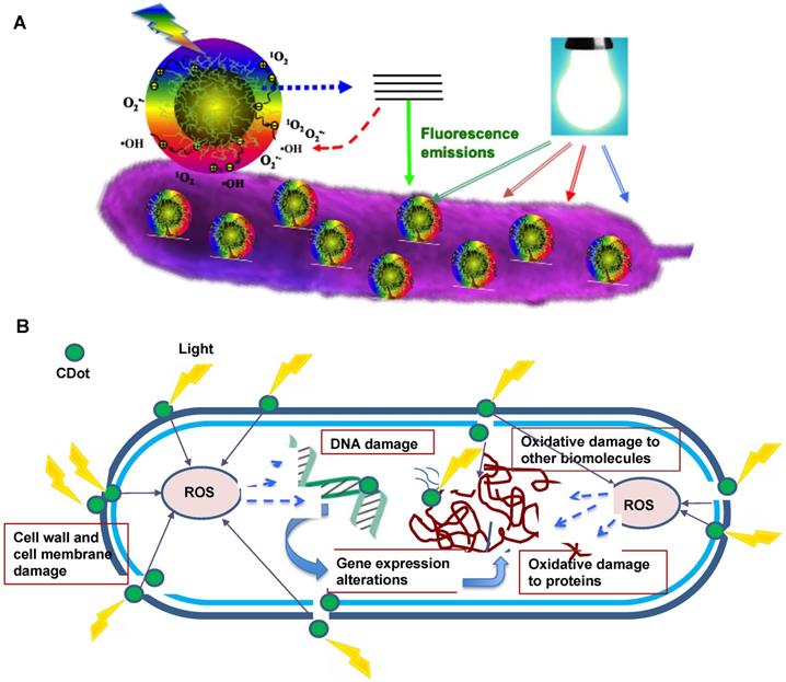 Theranostics Image