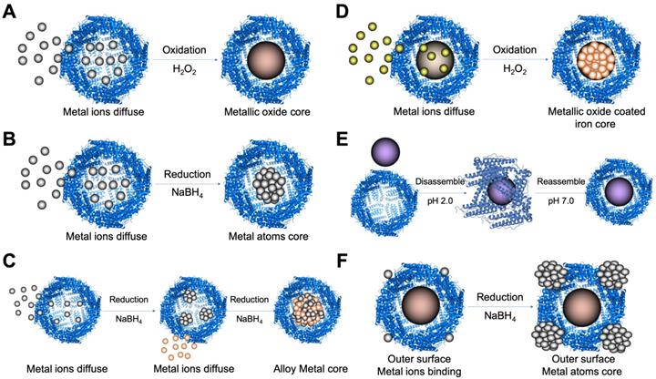 Theranostics Image