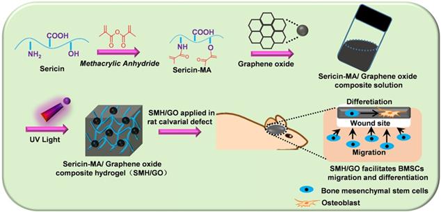 Theranostics Image