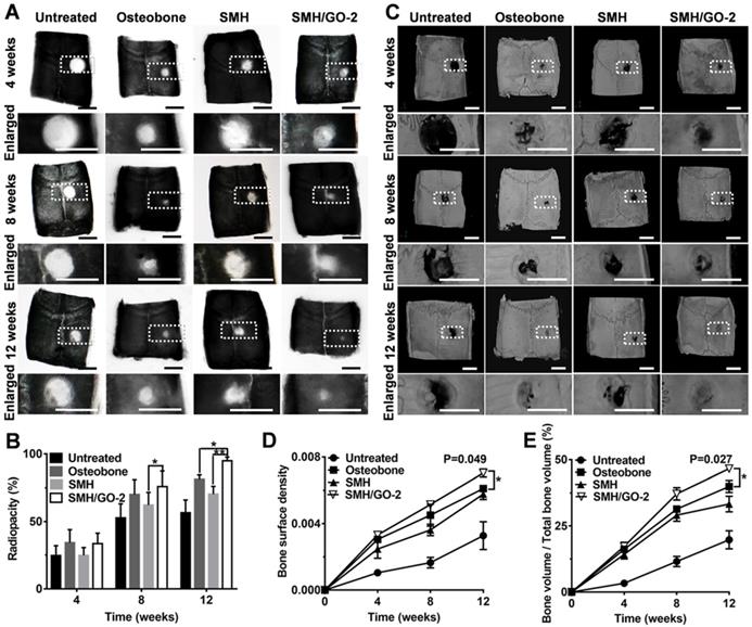 Theranostics Image