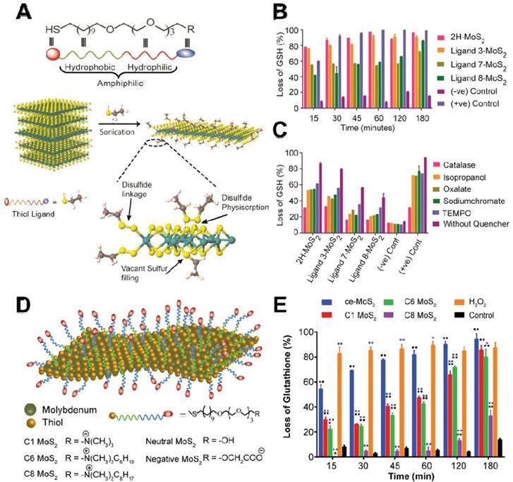 Theranostics Image