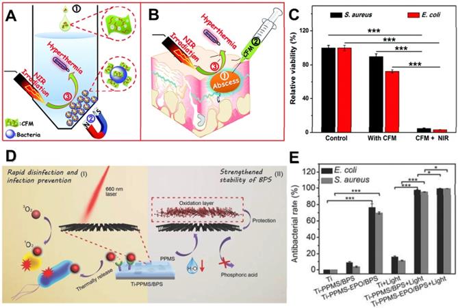 Theranostics Image