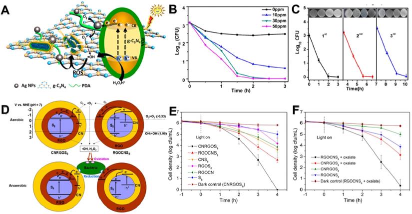 Theranostics Image