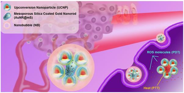 Theranostics Image