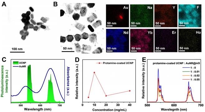 Theranostics Image