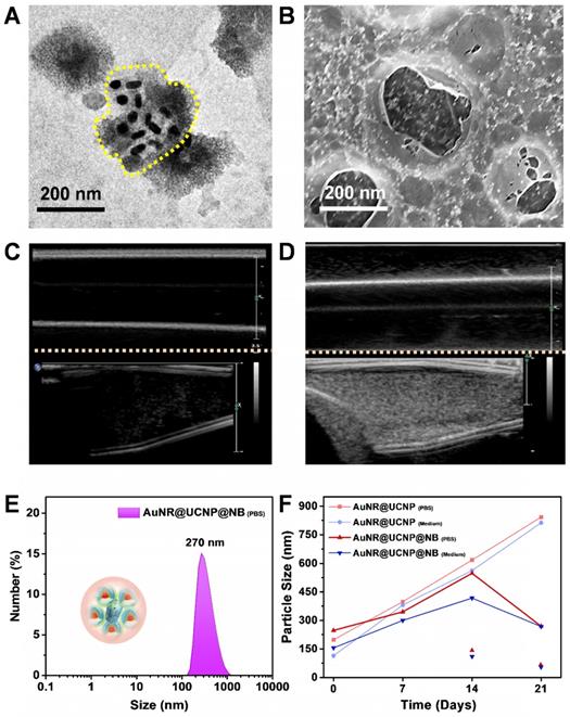 Theranostics Image