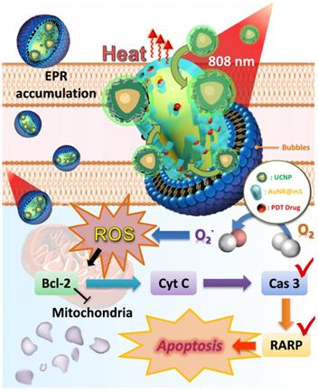 Theranostics Image