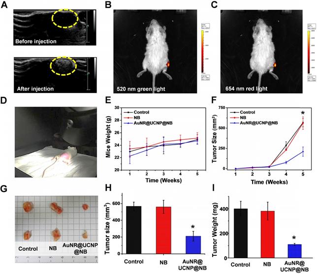 Theranostics Image