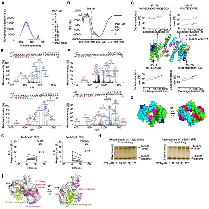 Theranostics Image