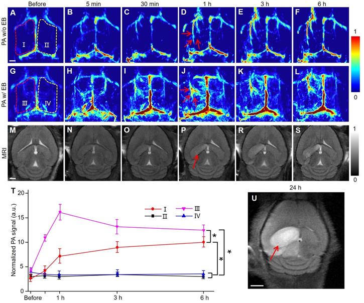 Theranostics Image