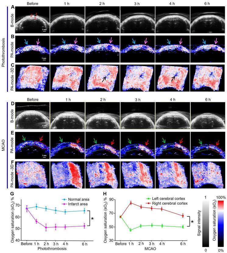 Theranostics Image