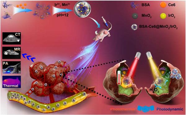 Theranostics Image