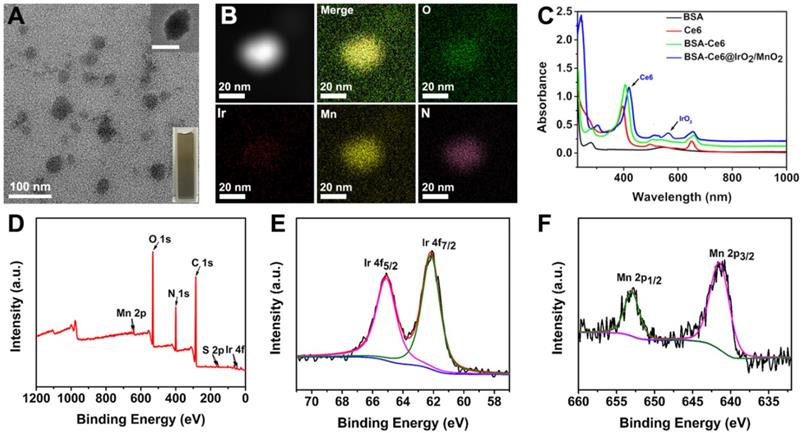 Theranostics Image