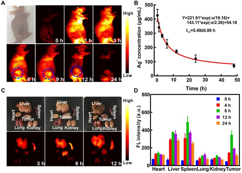 Theranostics Image