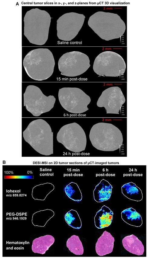 Theranostics Image