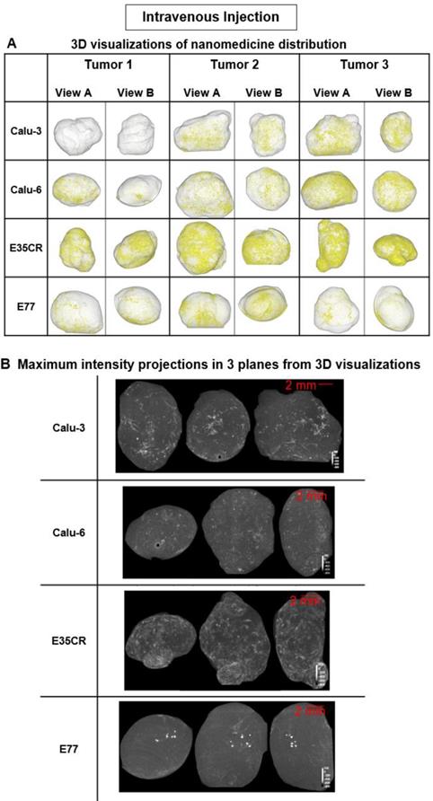 Theranostics Image