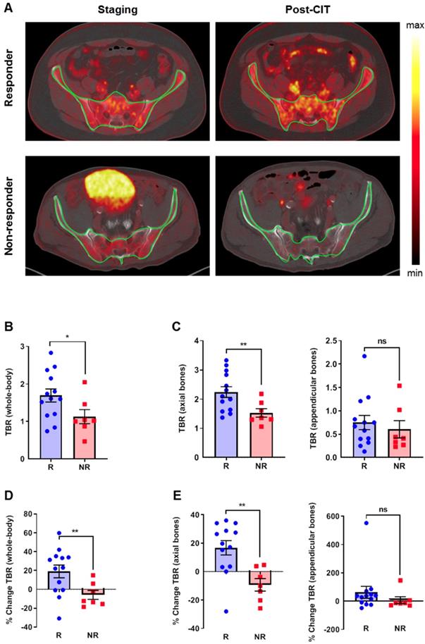 Theranostics Image