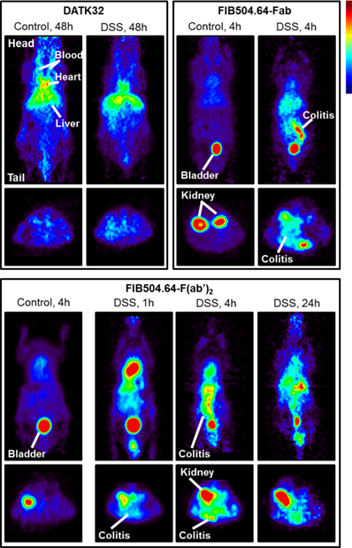 Theranostics Image